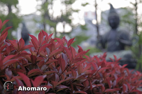写真00