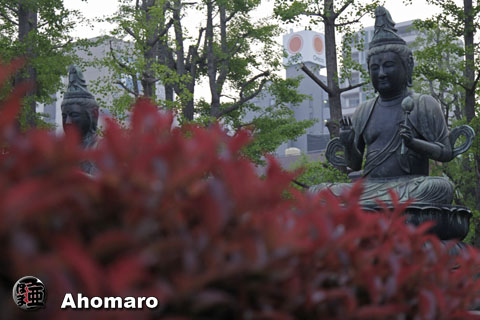写真00