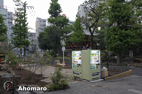 写真00