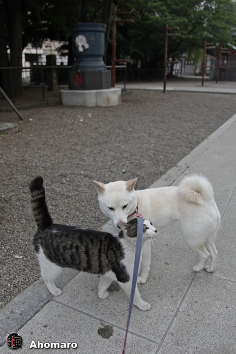 写真00
