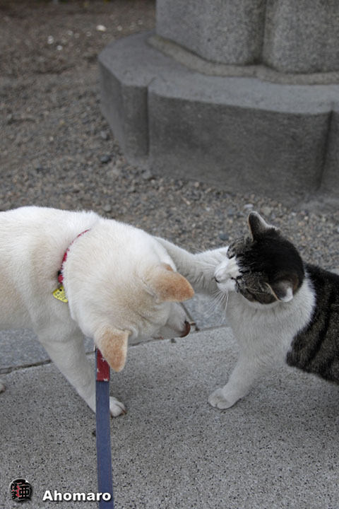 写真00