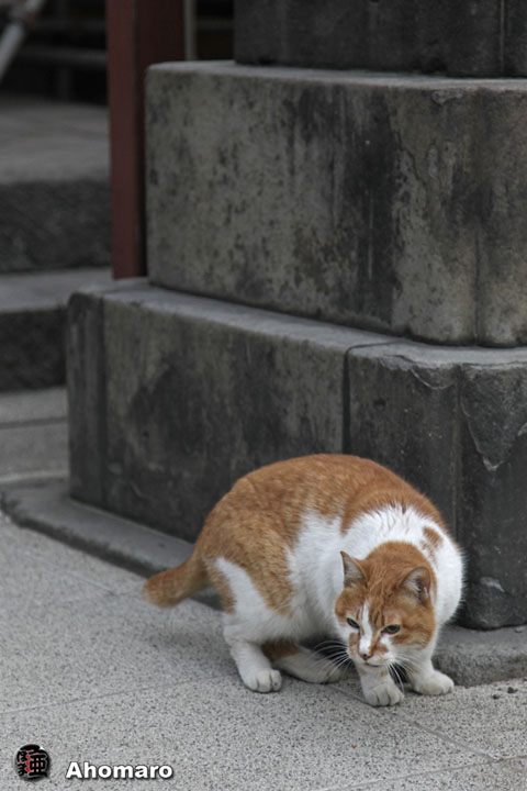 写真00