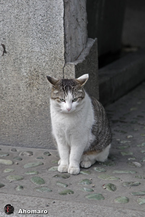 写真00