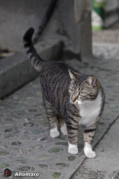 写真00