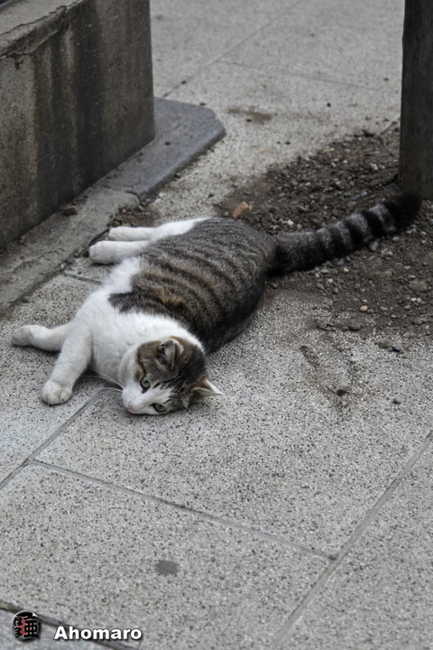 写真00