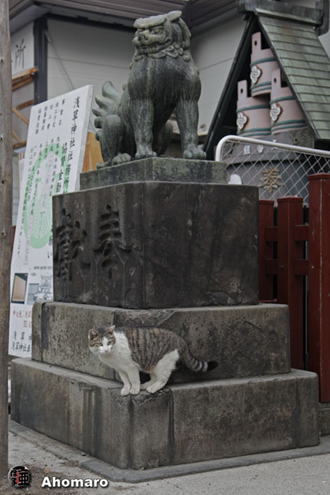 写真00