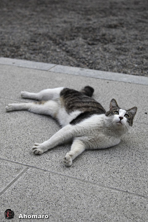 写真00