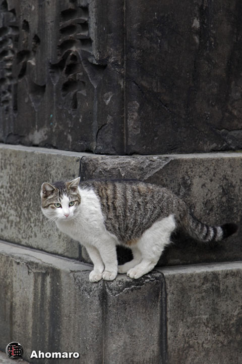 写真00
