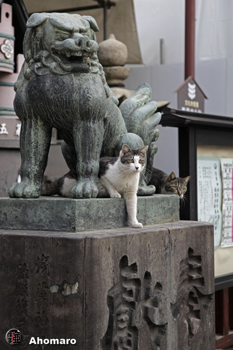 写真00