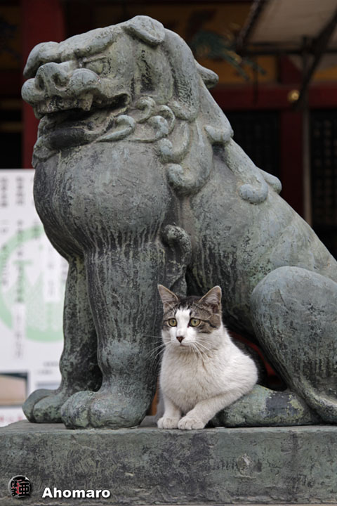 写真00