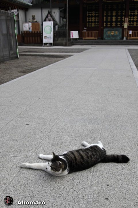 写真00