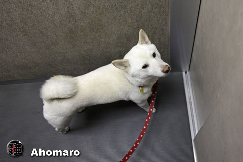 日記写真