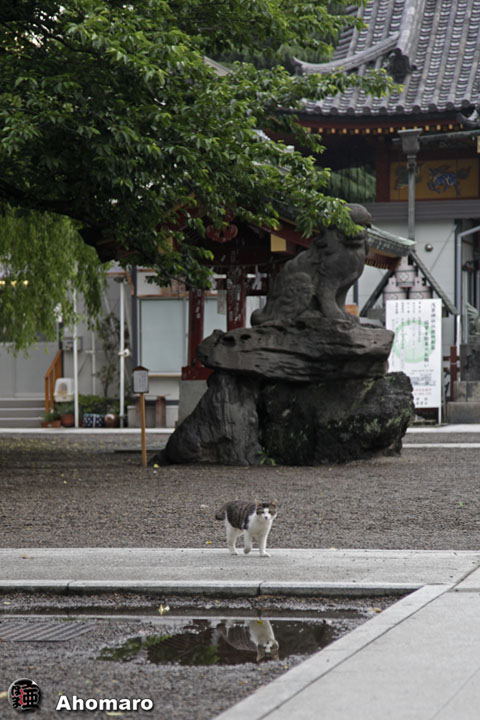 写真00