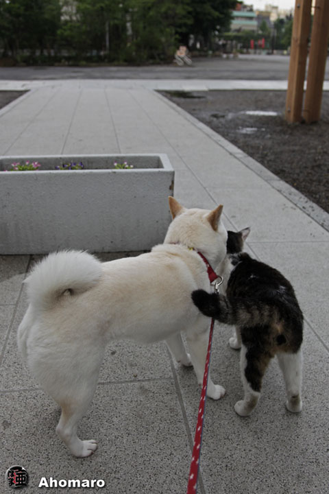 写真00