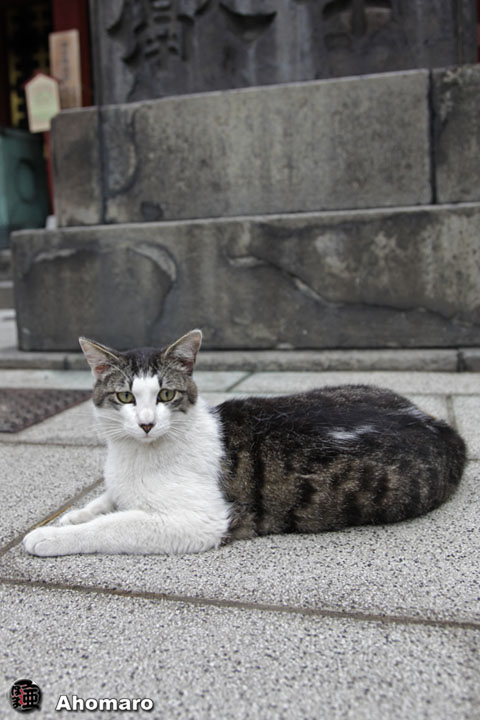 写真00