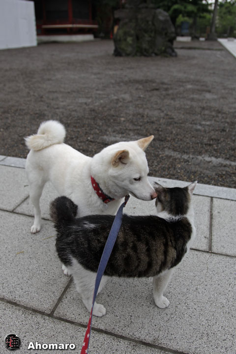 写真00