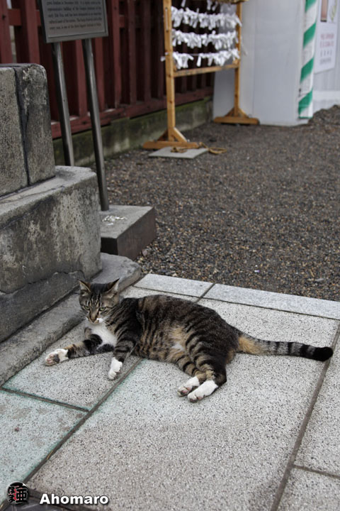 写真00