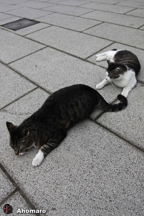 写真00