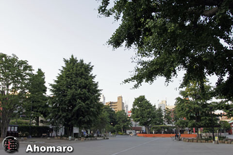 写真00