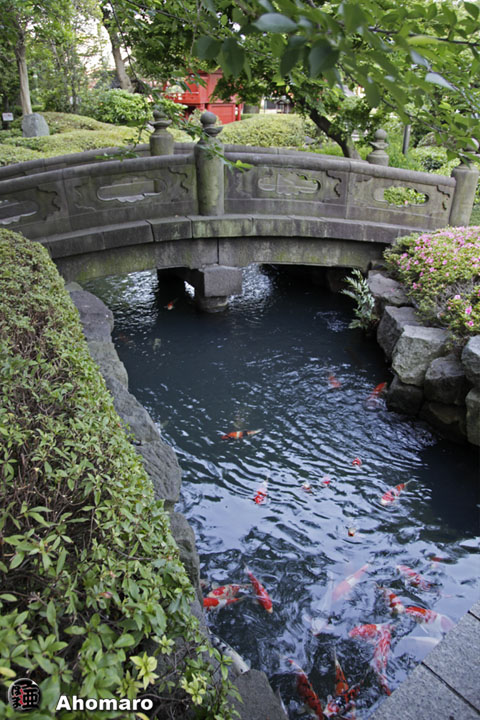 写真00