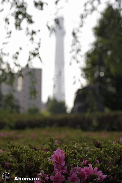 写真00