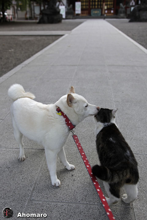 写真00