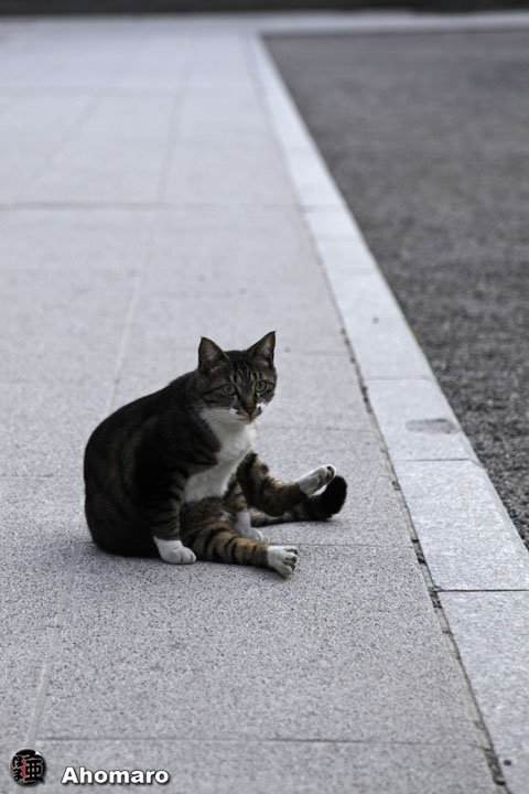 写真00