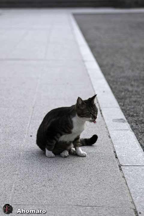 写真00