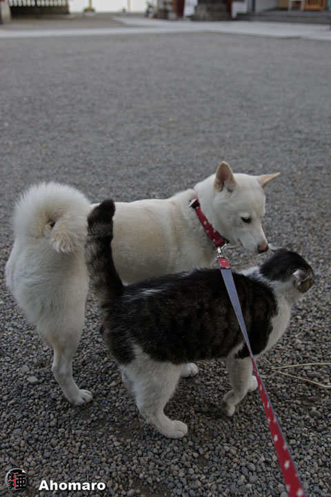 写真00