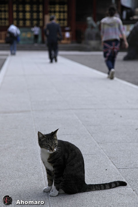 写真00