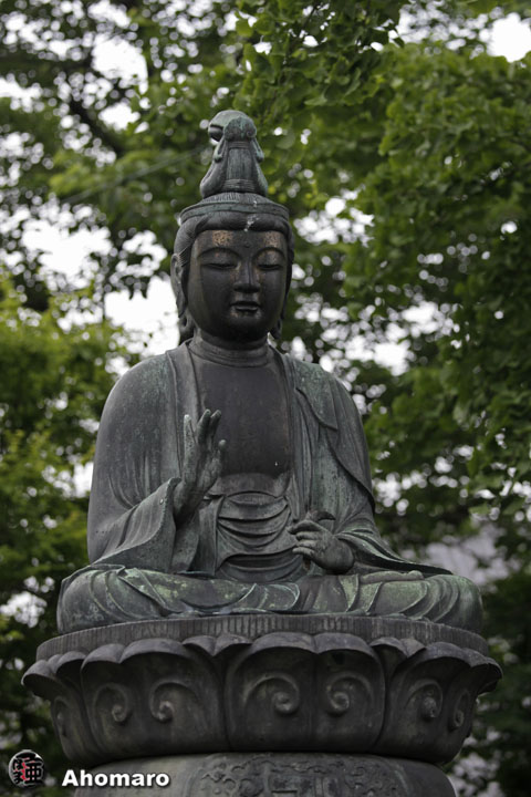 写真00