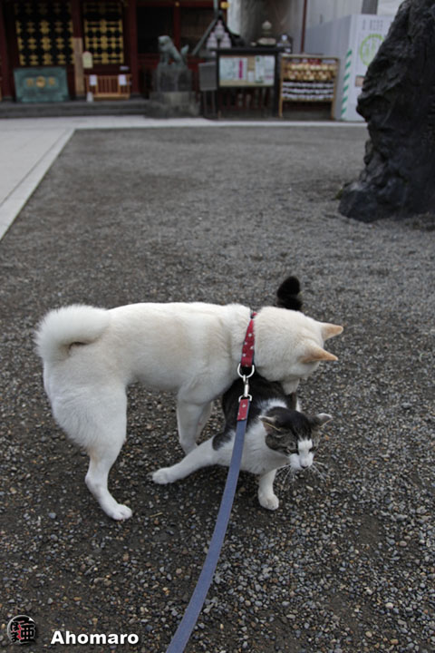写真00