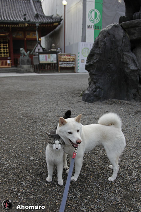 写真00