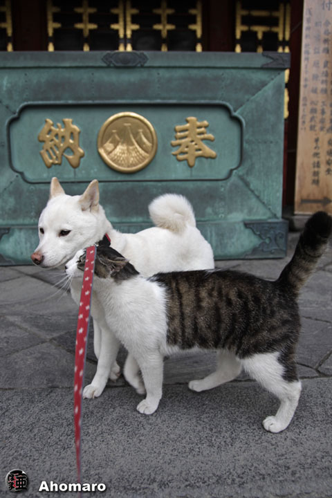 写真00