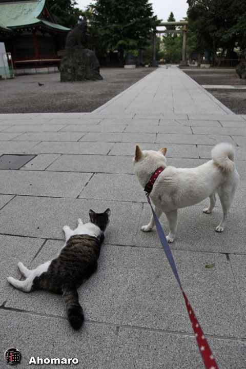 写真00