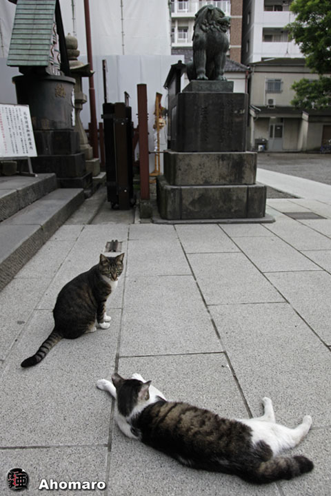 写真00