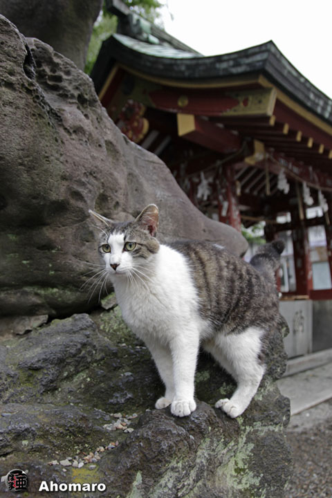 写真00