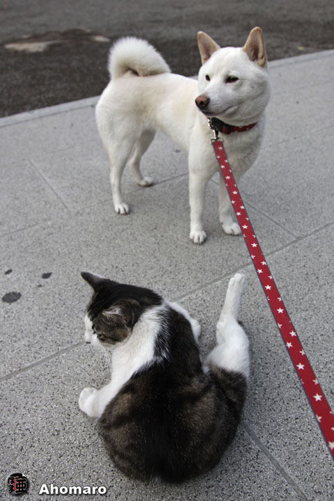 写真00