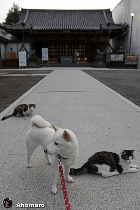 写真00