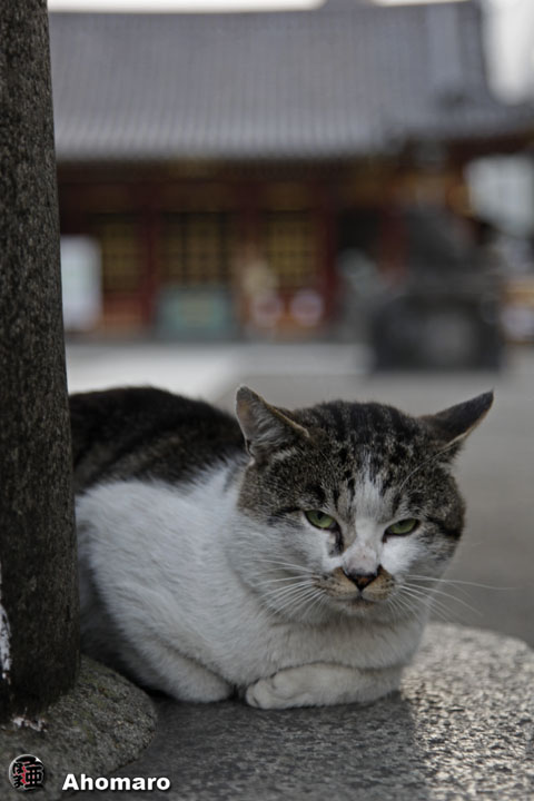 写真00