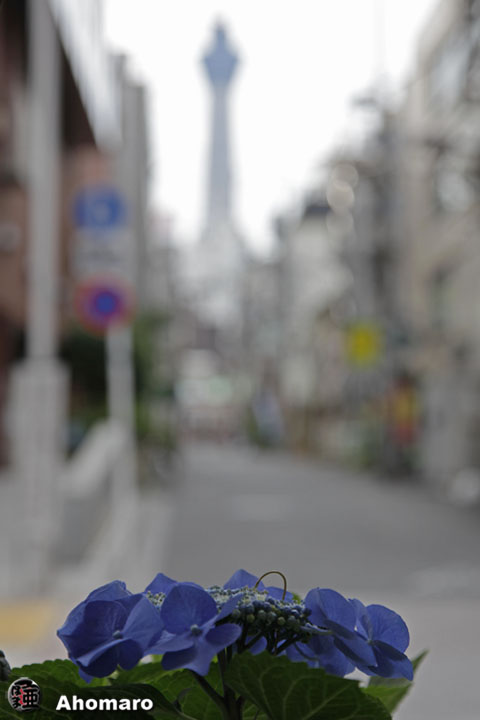 ʐ^00