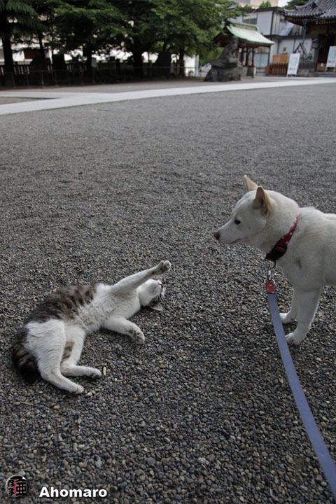 写真00