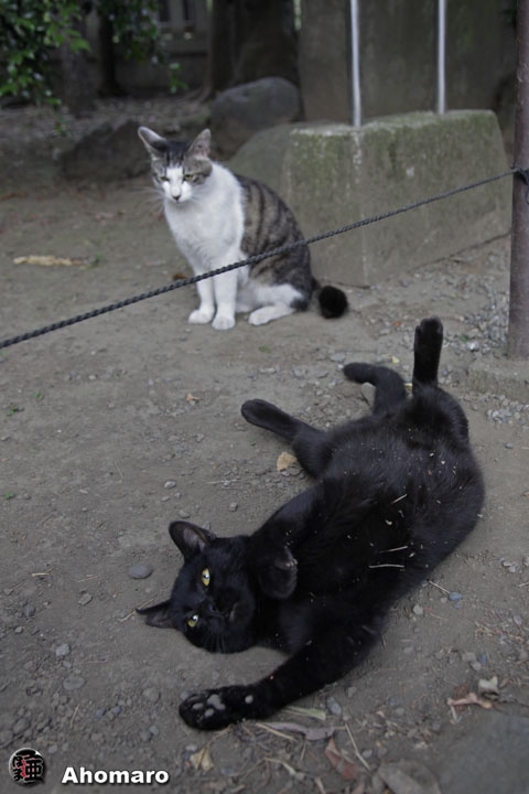 写真00