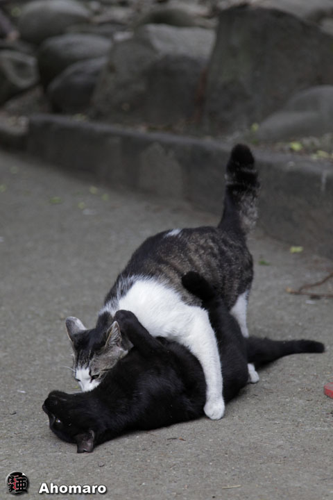 写真00