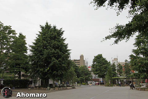写真00