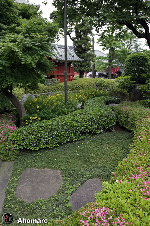 写真00