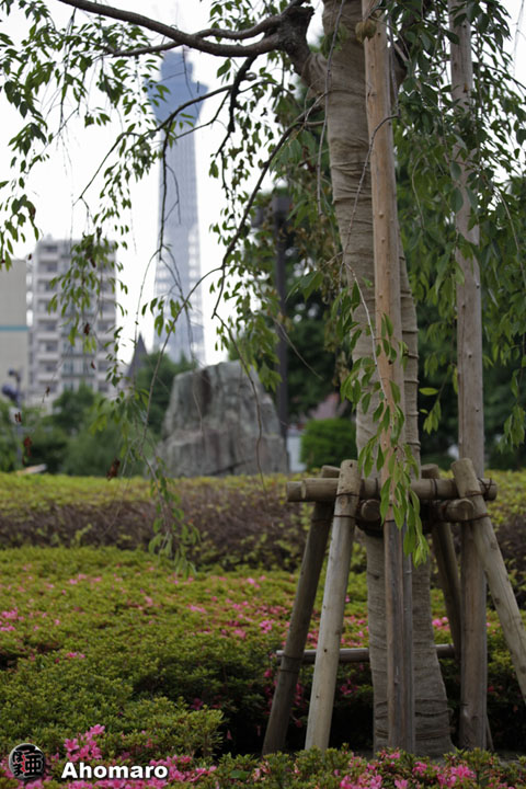 写真00