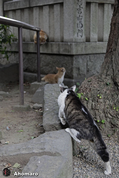 写真00