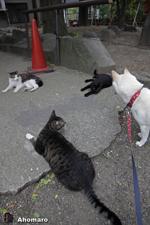 写真00