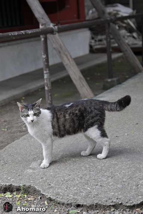 写真00